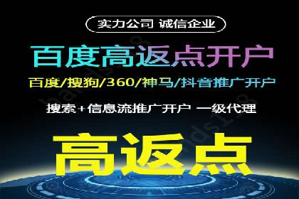 某公司信息流广告的精准投放与效果评估